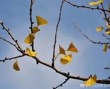 ewc-嵡3{蝋7楒騗滴q尠bm?C焜hQ蛡?4G的简单介绍